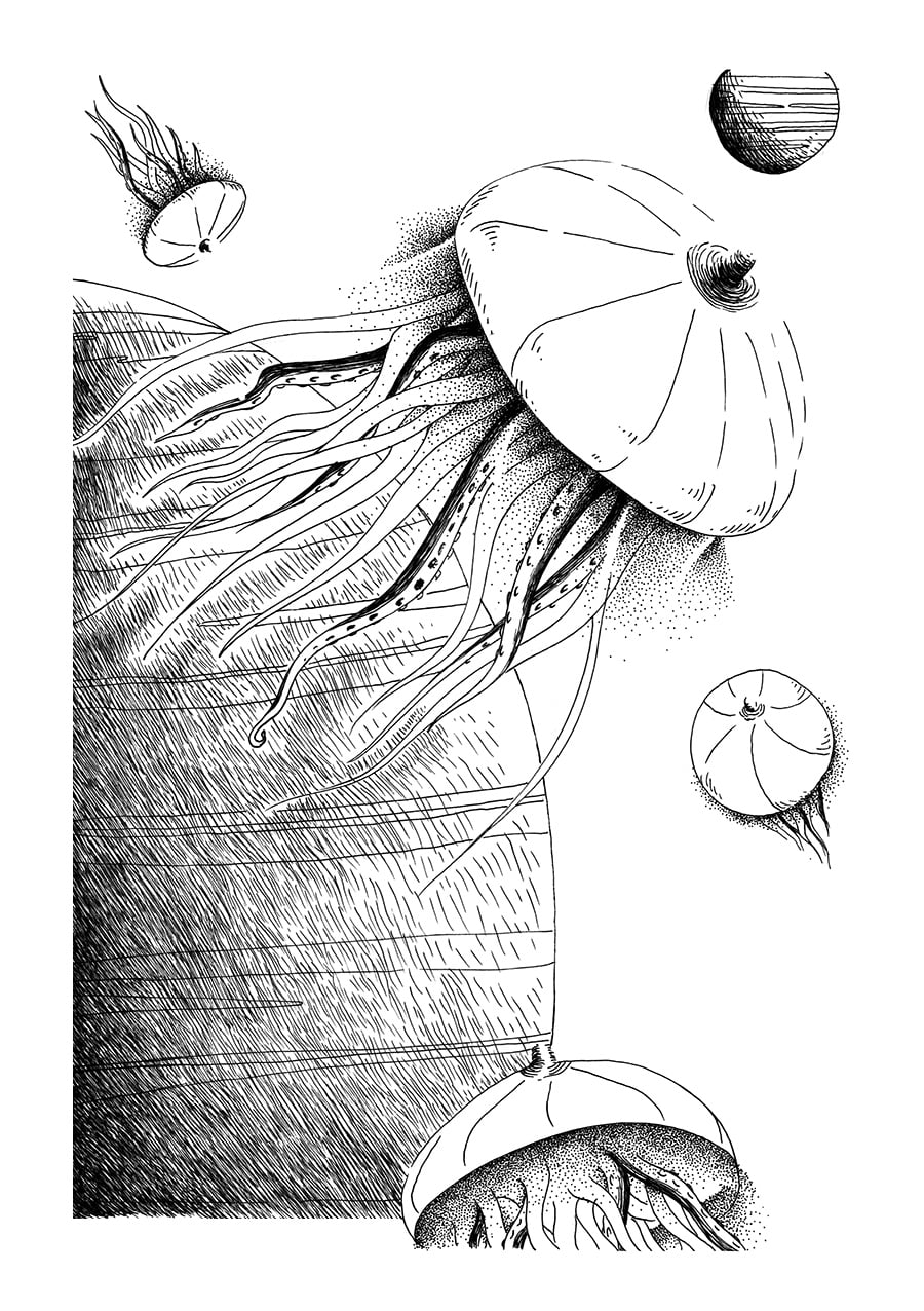 illustration dézoom tentacules