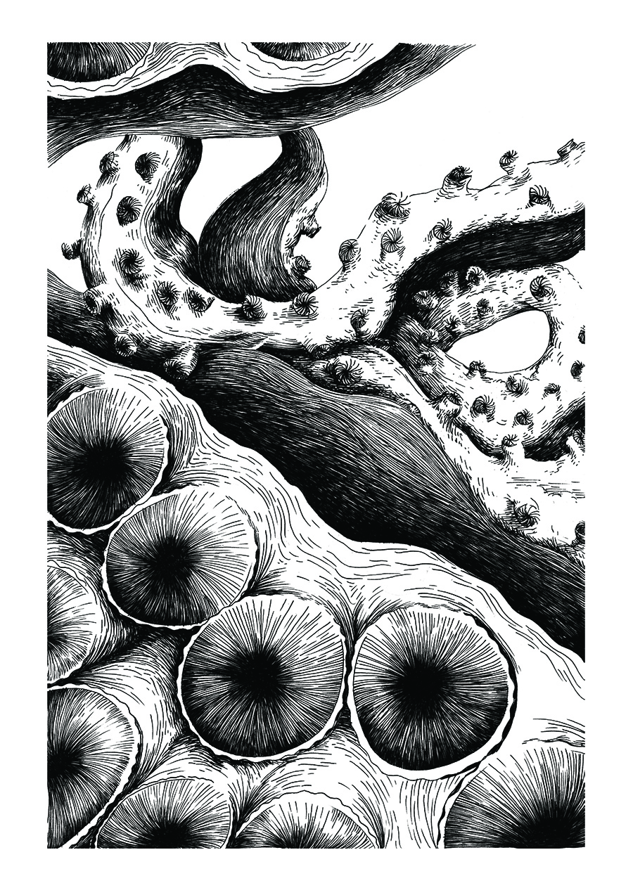 illustration zoom tentacule